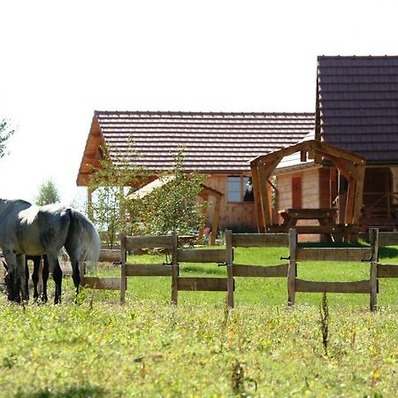 Le Hameau Des Grilles Villa Saint-Fargeau  Dış mekan fotoğraf