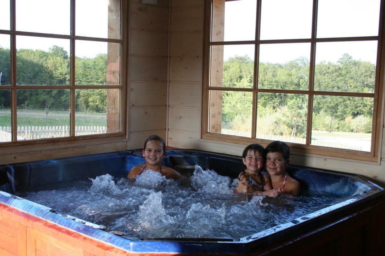 Le Hameau Des Grilles Villa Saint-Fargeau  Dış mekan fotoğraf